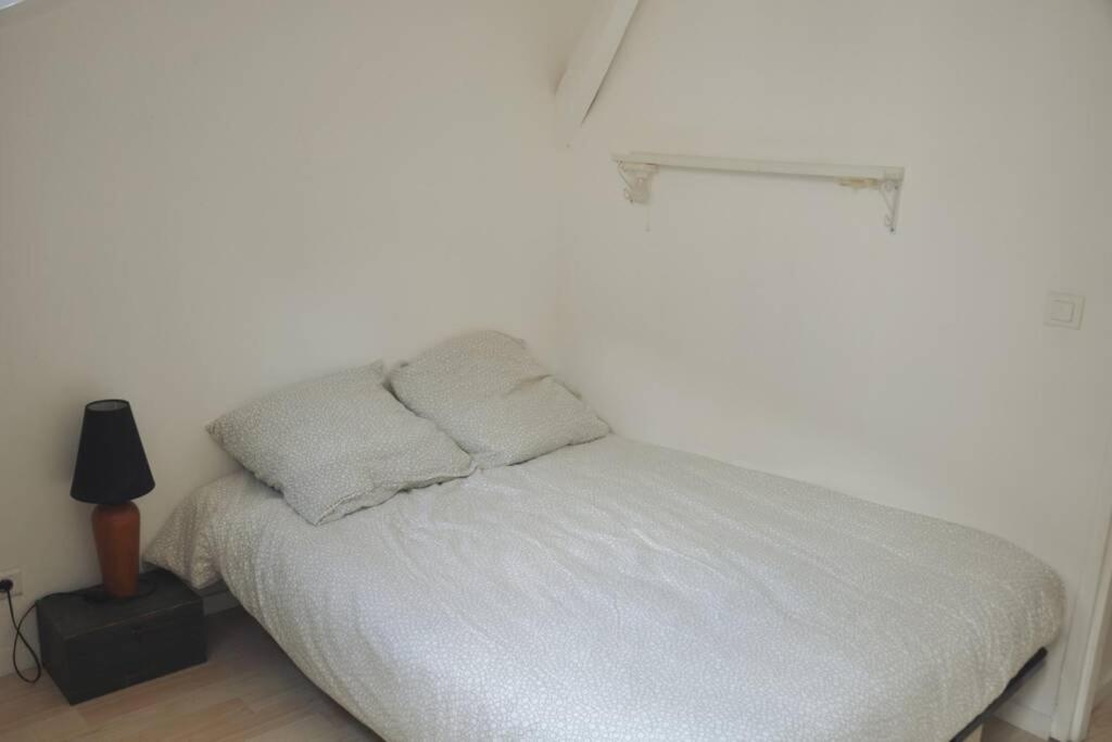 Duplex Avec Belle Terasse Au Centre De Bayonne Apartment ภายนอก รูปภาพ